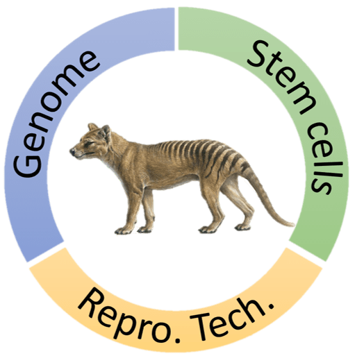 The three main research themes - genome, stem cells and reproductive techniques